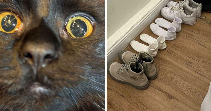 Wait, They Actually Ranked This Weird Stuff?! 40 Odd Pics That’ll Make You Go Huh