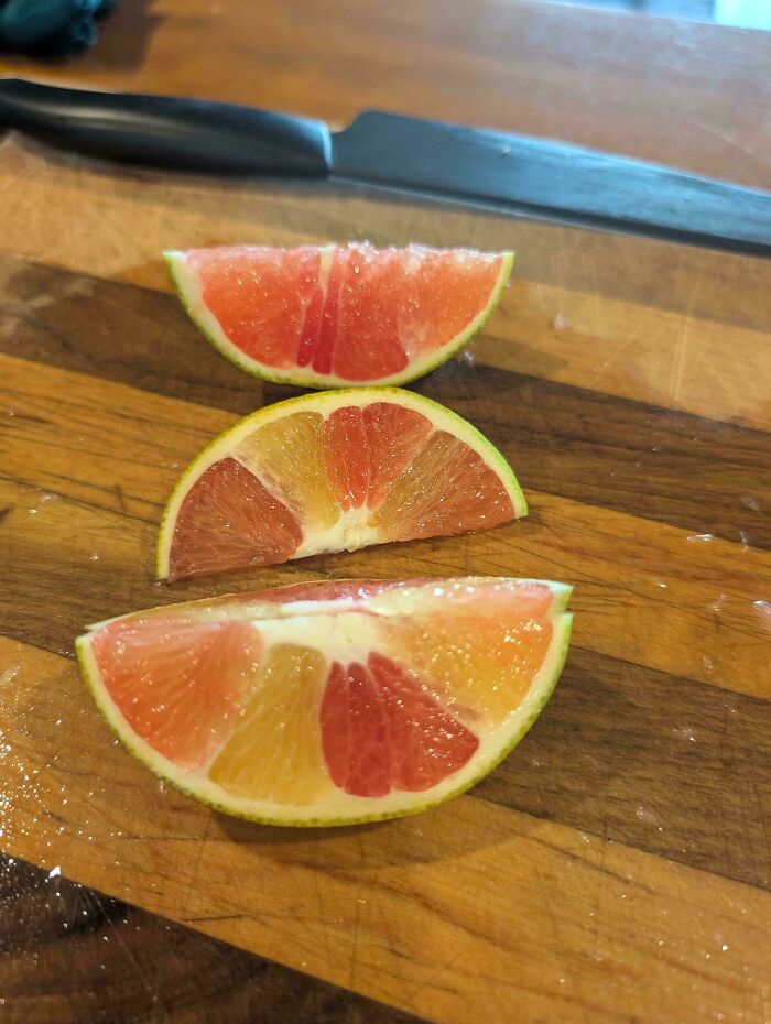 This Orange I Just Picked Looks Like Nature’s Magic Trick