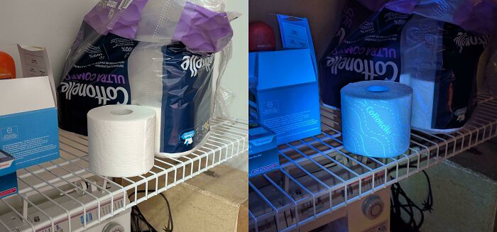 Cottonelle Toilet Paper Has A Secret UV Glowing Pattern To Fight Counterfeits