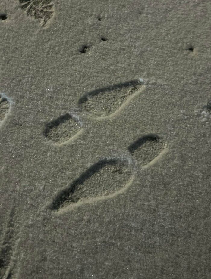 Explain These Mysterious Footprints In The Snow?