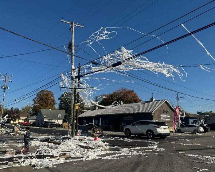 Whole Town Got TP’d Overnight After Halloween!