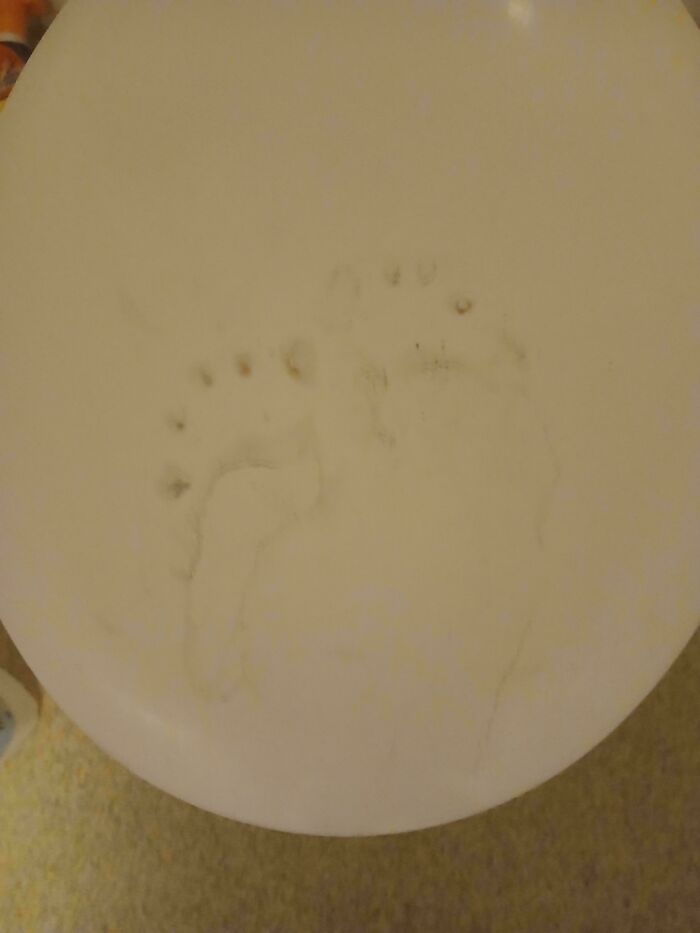 Faint, Odd Footprints On My Toilet Seat. I Live Alone!