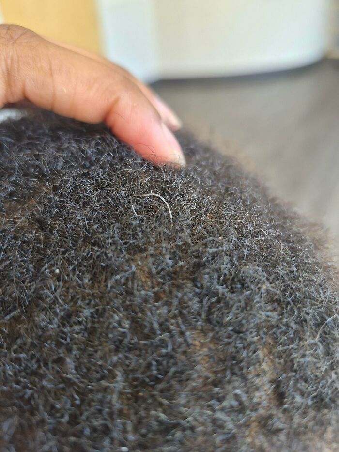 My 3-Year-Old Has One Grey Hair. Future Trendsetter?