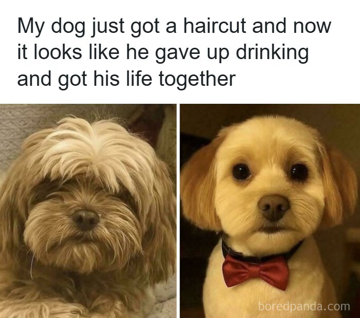 Wait, They Actually Ranked That?! 93 Internet Moments That Totally Cracked Us Up