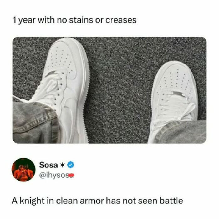 Wait, They Actually Ranked That?! 93 Internet Moments That Totally Cracked Us Up