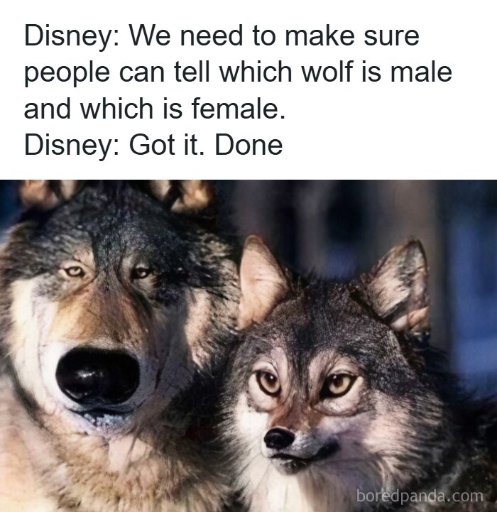 Wait, They Actually Ranked That?! 93 Internet Moments That Totally Cracked Us Up
