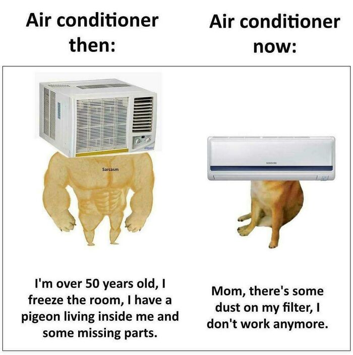 Wait, They Actually Ranked That?! 93 Internet Moments That Totally Cracked Us Up