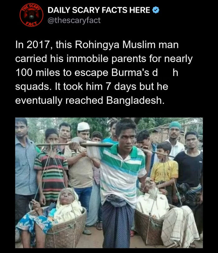 Hold Up—83 Shocking Real-Life Stories That'll Totally Blow Your Mind