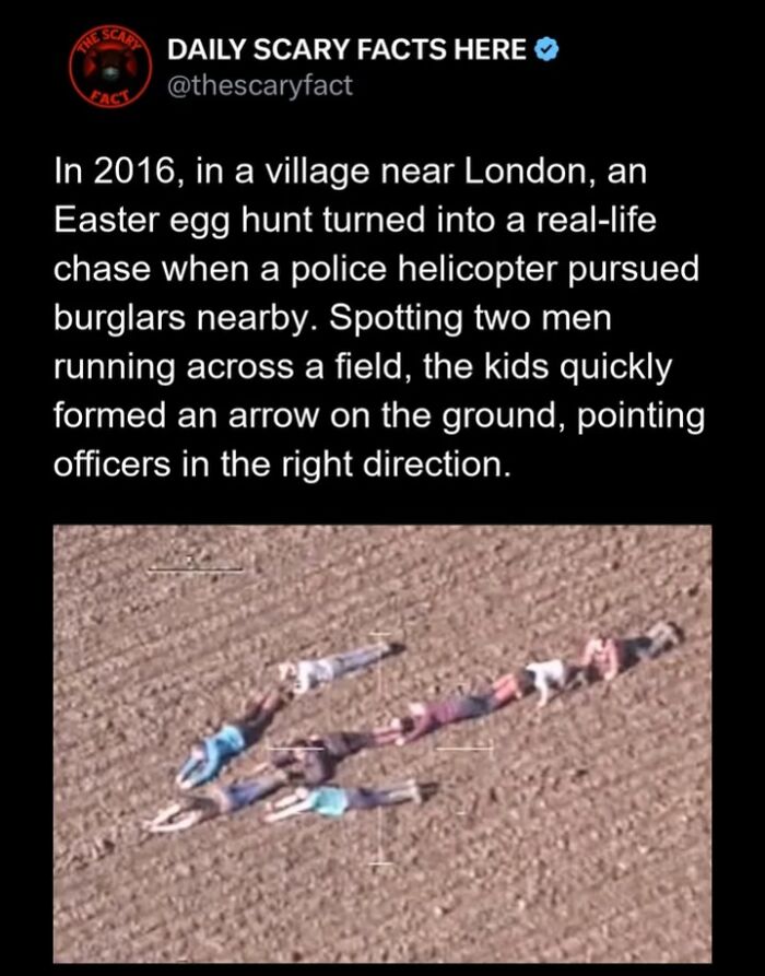 Hold Up—83 Shocking Real-Life Stories That'll Totally Blow Your Mind