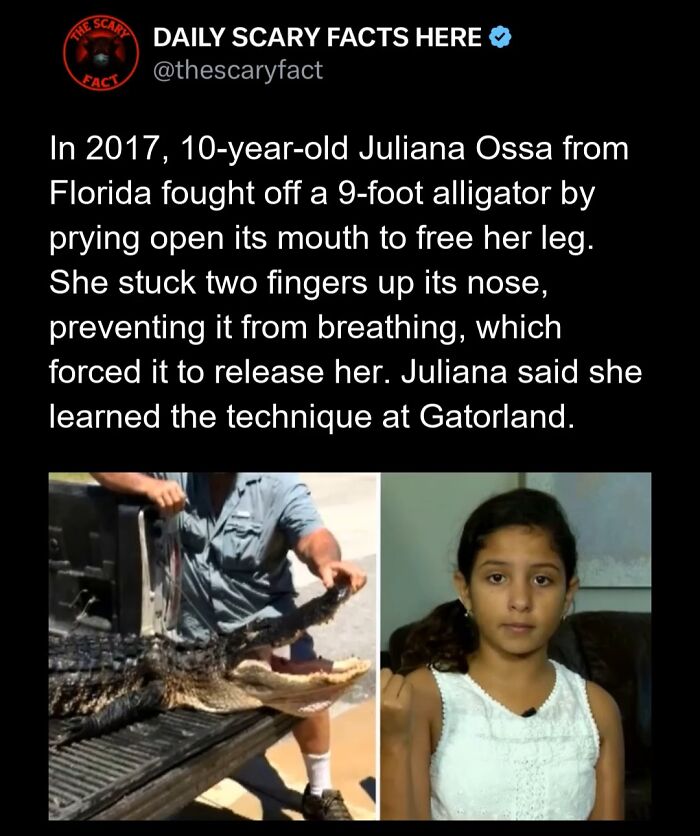 Hold Up—83 Shocking Real-Life Stories That'll Totally Blow Your Mind