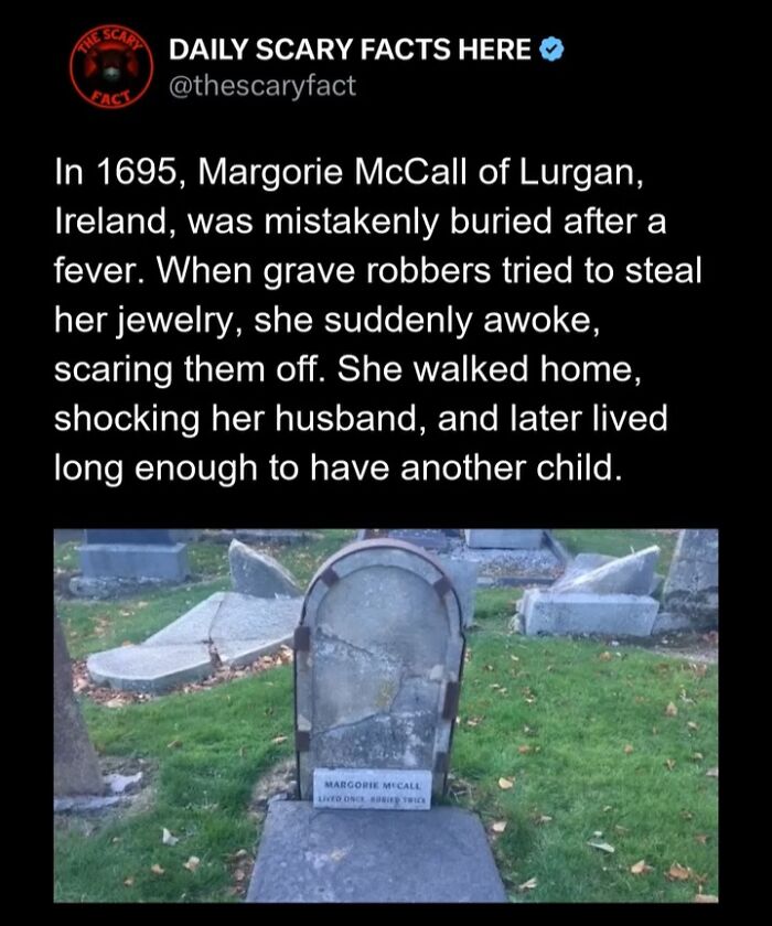 Hold Up—83 Shocking Real-Life Stories That'll Totally Blow Your Mind