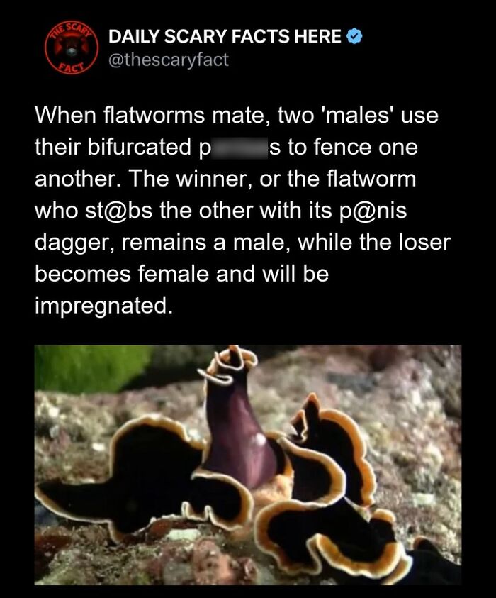 Hold Up—83 Shocking Real-Life Stories That'll Totally Blow Your Mind