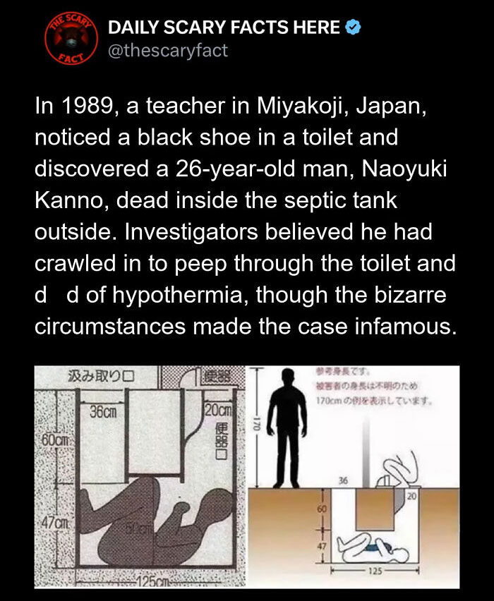 Hold Up—83 Shocking Real-Life Stories That'll Totally Blow Your Mind