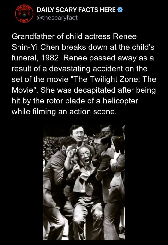 Hold Up—83 Shocking Real-Life Stories That'll Totally Blow Your Mind