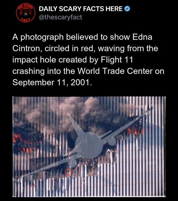 Hold Up—83 Shocking Real-Life Stories That'll Totally Blow Your Mind