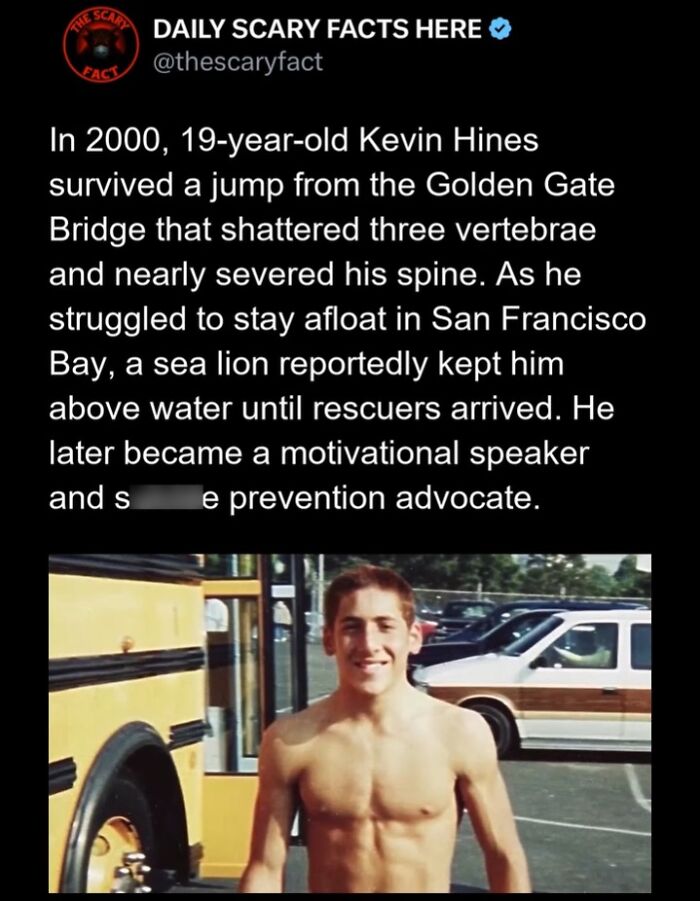 Hold Up—83 Shocking Real-Life Stories That'll Totally Blow Your Mind