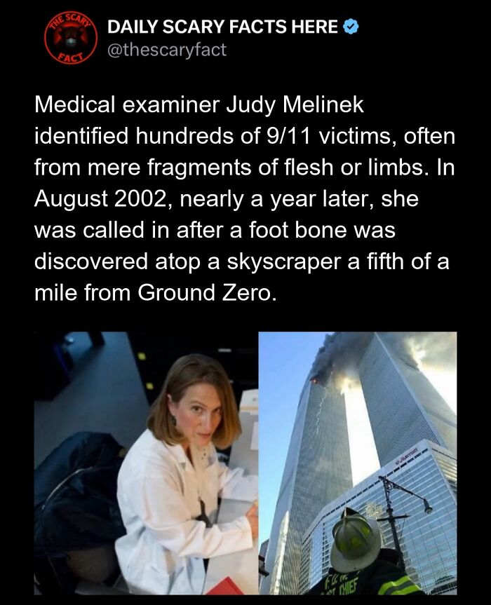 Hold Up—83 Shocking Real-Life Stories That'll Totally Blow Your Mind