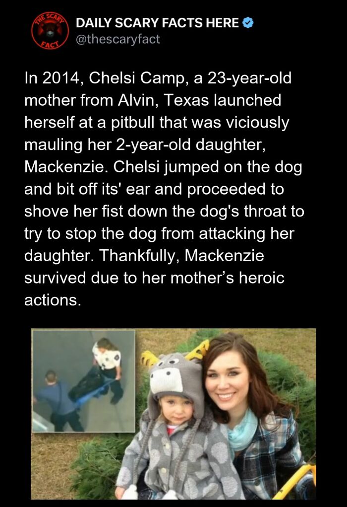 Hold Up—83 Shocking Real-Life Stories That'll Totally Blow Your Mind