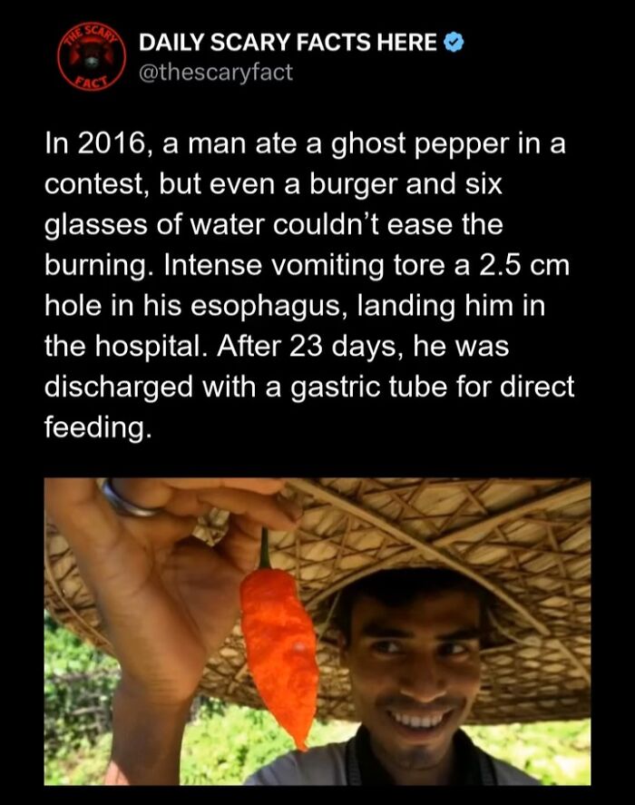 Hold Up—83 Shocking Real-Life Stories That'll Totally Blow Your Mind