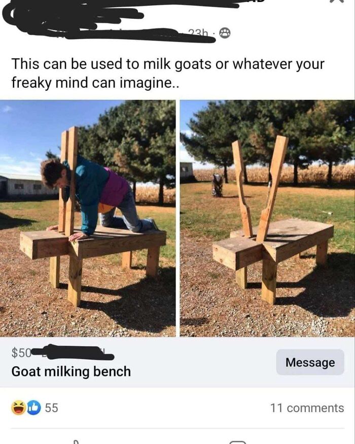 Got Milking Goats? Check This Out!