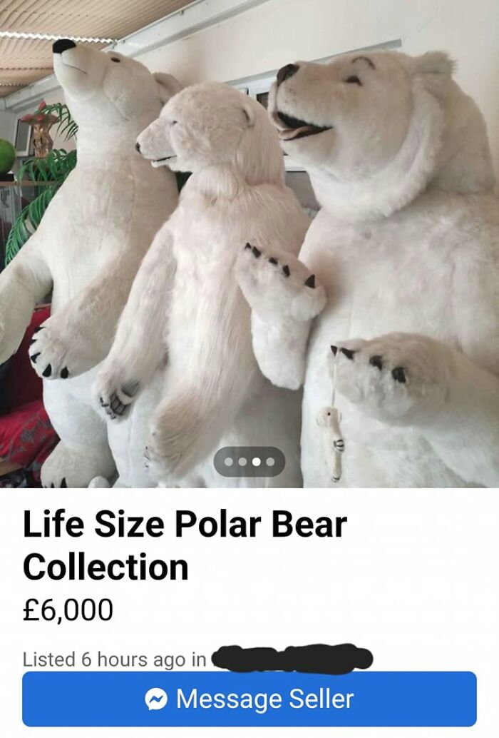 Wait, People Actually Post This Stuff on Facebook Marketplace?!