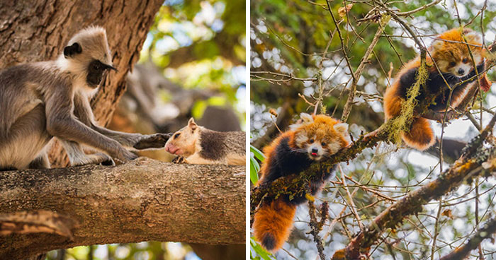 30 Mind-Blowing Animal Photos That’ll Make You Go Wow