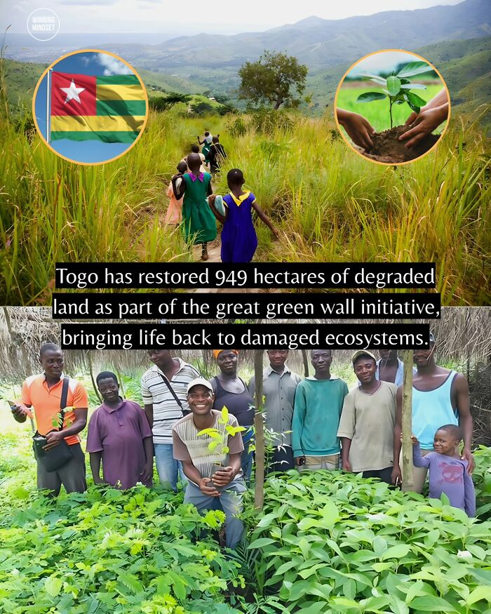 Yep, The World’s Got Some Good Vibes Right Now (55 Feel-Good Pics)