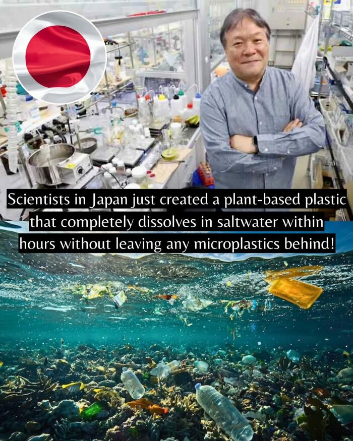 Yep, The World’s Got Some Good Vibes Right Now (55 Feel-Good Pics)