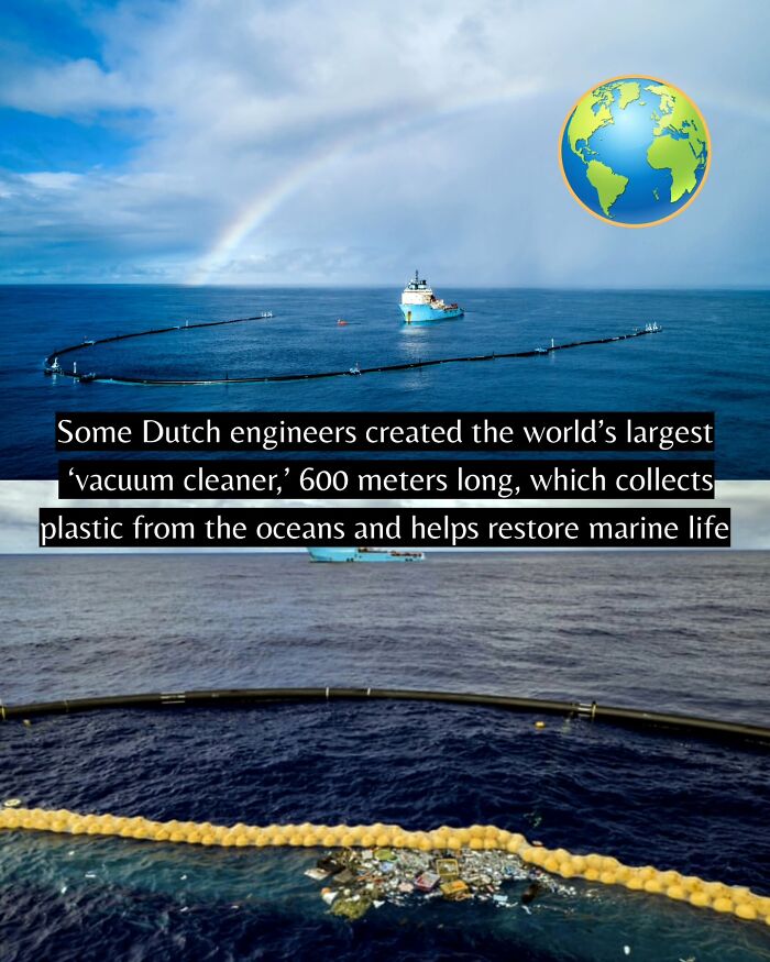 Yep, The World’s Got Some Good Vibes Right Now (55 Feel-Good Pics)