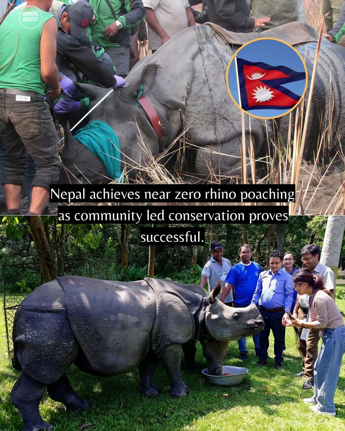 Yep, The World’s Got Some Good Vibes Right Now (55 Feel-Good Pics)