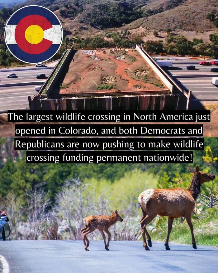 Yep, The World’s Got Some Good Vibes Right Now (55 Feel-Good Pics)