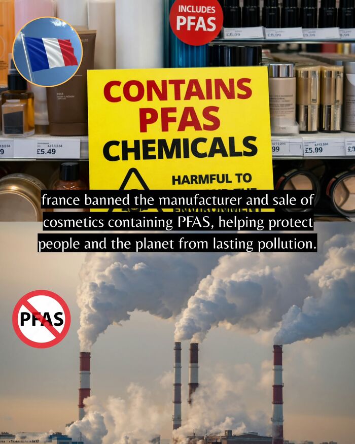 Yep, The World’s Got Some Good Vibes Right Now (55 Feel-Good Pics)