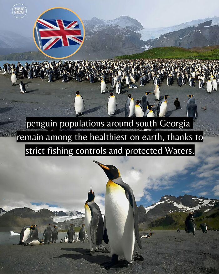 Yep, The World’s Got Some Good Vibes Right Now (55 Feel-Good Pics)