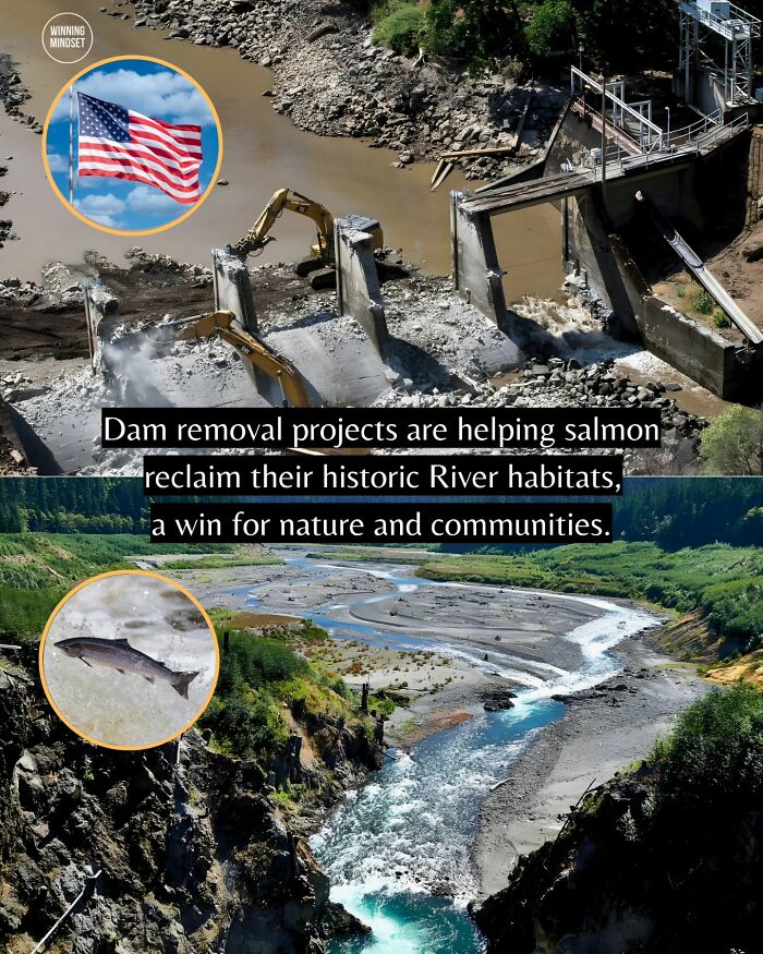 Yep, The World’s Got Some Good Vibes Right Now (55 Feel-Good Pics)