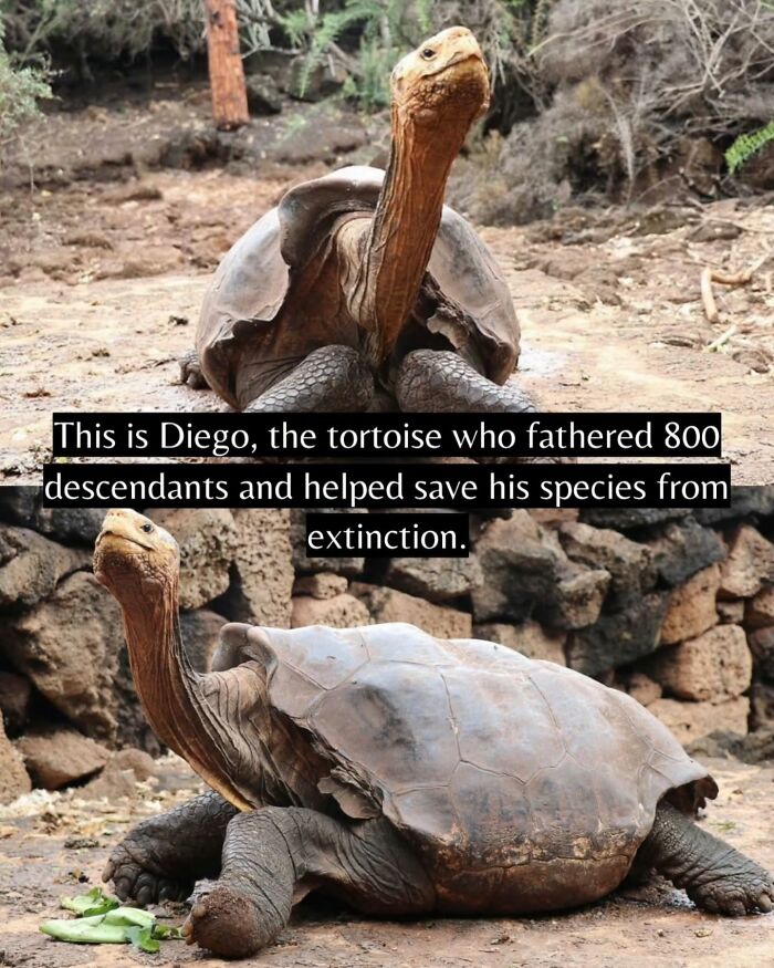 Yep, The World’s Got Some Good Vibes Right Now (55 Feel-Good Pics)