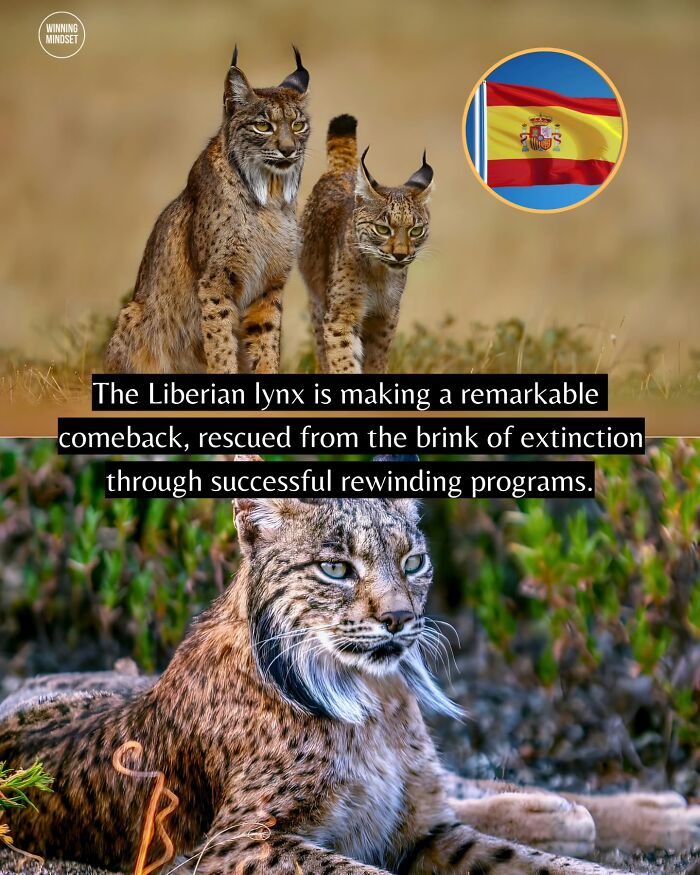 Yep, The World’s Got Some Good Vibes Right Now (55 Feel-Good Pics)