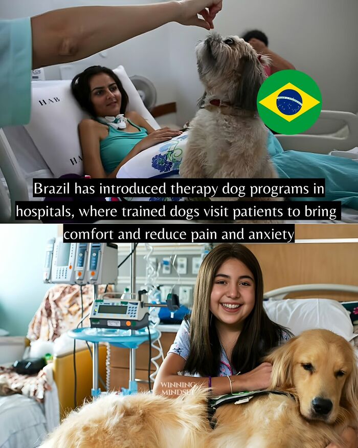 Yep, The World’s Got Some Good Vibes Right Now (55 Feel-Good Pics)