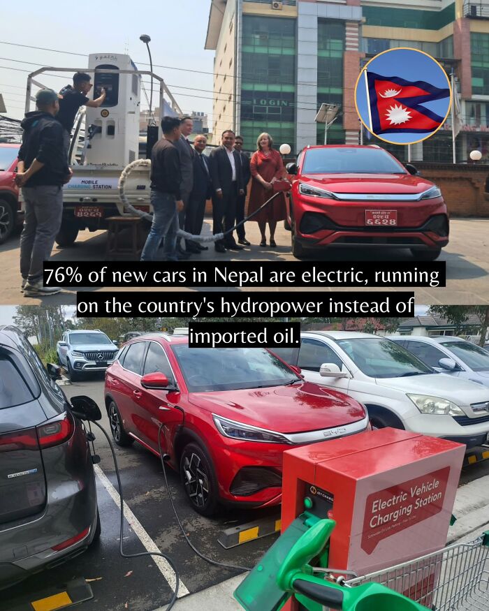 Yep, The World’s Got Some Good Vibes Right Now (55 Feel-Good Pics)