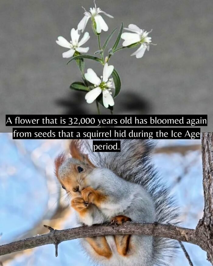 Yep, The World’s Got Some Good Vibes Right Now (55 Feel-Good Pics)