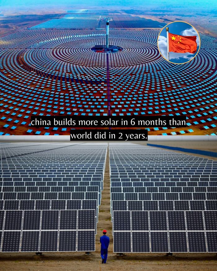 Yep, The World’s Got Some Good Vibes Right Now (55 Feel-Good Pics)