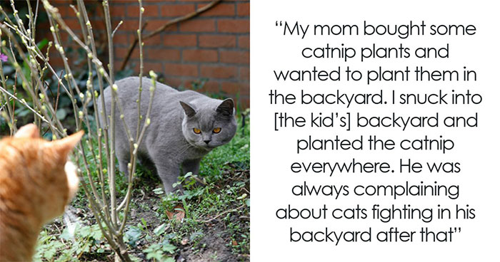 The Most Epic (and Hilarious) Acts of Revenge Ever Told