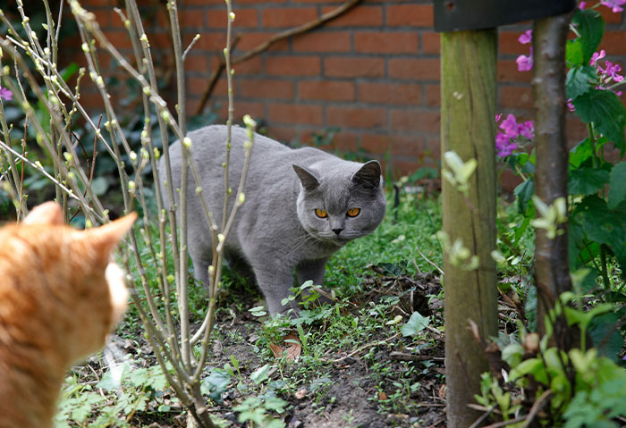 The Most Epic (and Hilarious) Acts of Revenge Ever Told