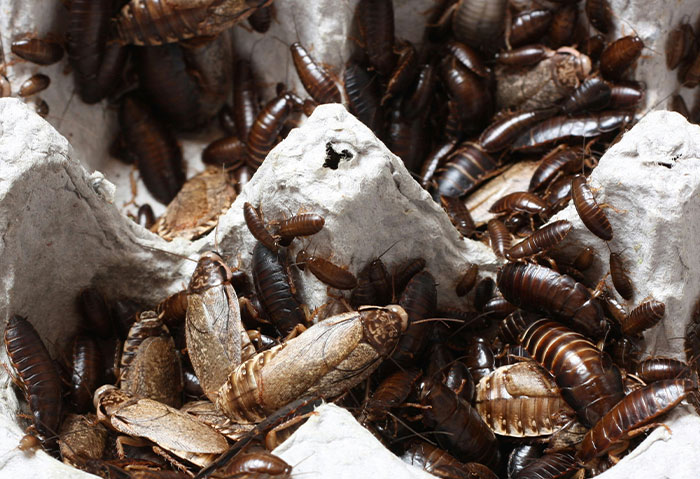 The Most Epic (and Hilarious) Acts of Revenge Ever Told