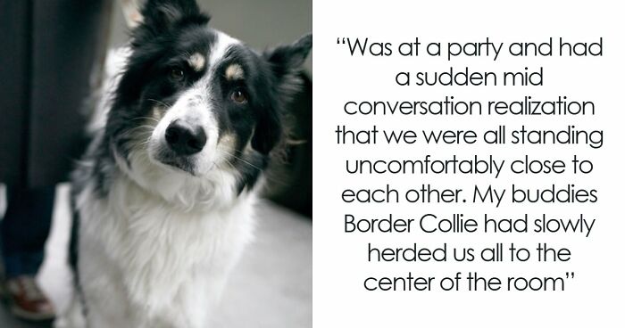 Wait, Animals Outsmarting Us? 43 Creepy (and Crazy Cool) Tales of Brains in Action