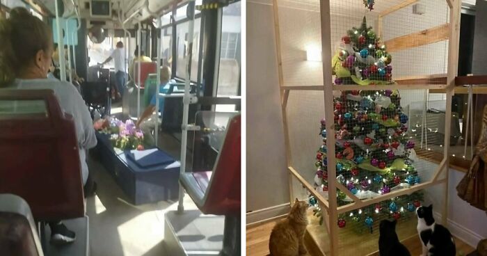 Wait, These Weird Pics Just Won’t Quit Bothering Our Brains!