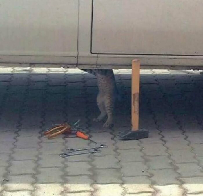 Wait, These Weird Pics Just Won't Quit Bothering Our Brains!