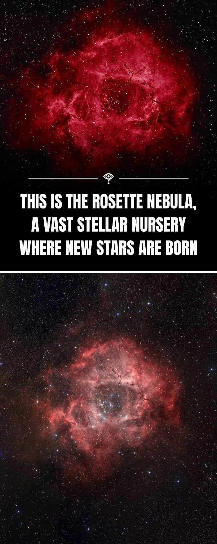 27 Mind-Blowing Science Facts That’ll Totally Flip Your Brain