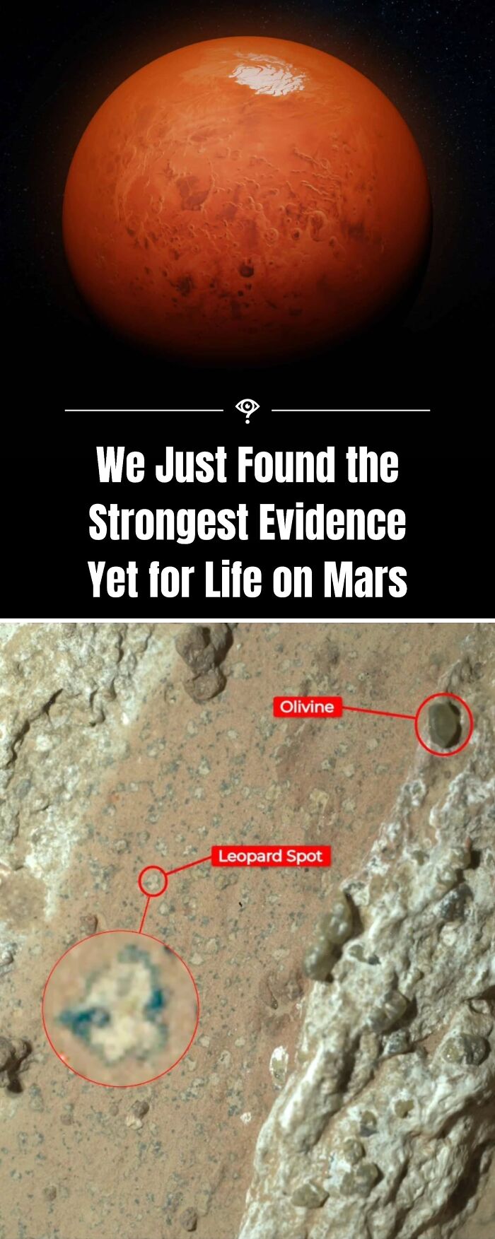 27 Mind-Blowing Science Facts That’ll Totally Flip Your Brain