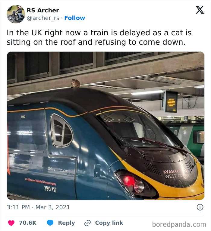 Wait, They Actually Ranked These British Memes?!