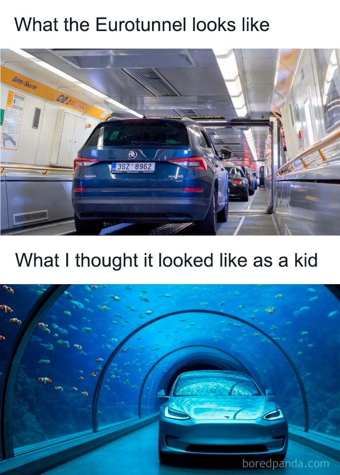 Wait, They Actually Ranked These British Memes?!